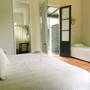 Private Bathroom Triple Room
